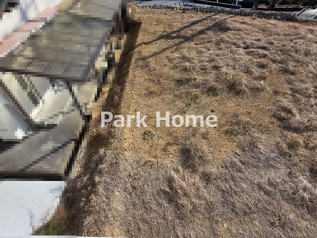 高知市福井町・S号地-建築条件付き-売土地の前面道路含む現地写真|S号地　2025.12.月現況