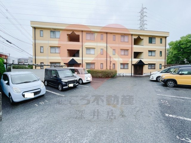 ベルシュラインの画像