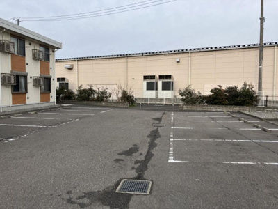 【その他】 | レオネクストリアン