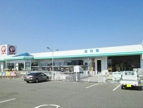 Ｌ．アウラツム　Ⅳの周辺|コメリハード＆グリーンまで2240m