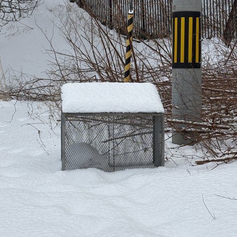 ダズ　ハオス　Ｓ．Ｋのその他共用部分