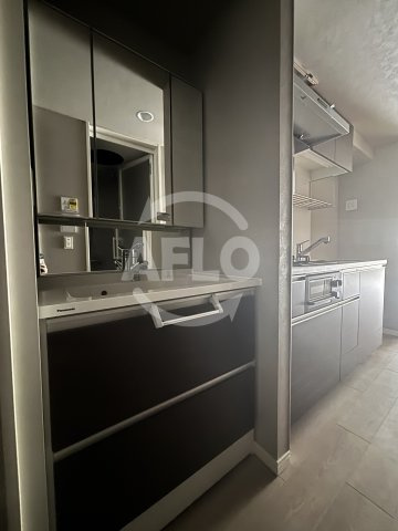 サンエール南堀江　日吉小学校区の独立洗面台|サンエール南堀江　　洗面台