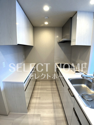  | ザ・パークハウス岡崎