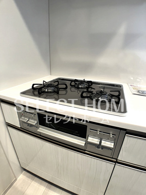  | ザ・パークハウス岡崎