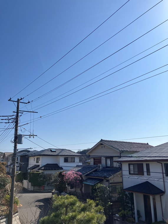 腰越戸建の展望