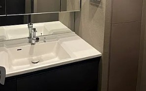 【独立洗面台】 | ブランシエスタ目黒中央町