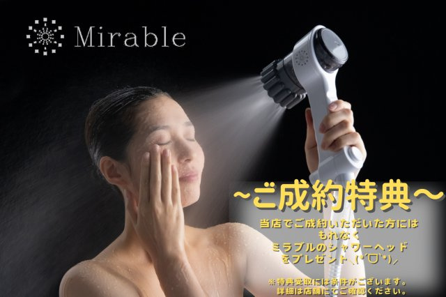 ダイアパレス新石切のその他|プレゼント中！