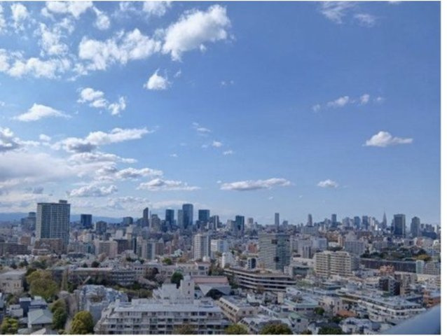 ★仲介手数料無料★ザ・パークハウス白金二丁目タワー(高層階につきつ眺望良好、晴天時には富士山が望めます）の展望