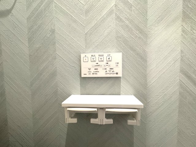 中央区長潟1丁目A棟　新築戸建のトイレ|同施工会社様の完成写真です