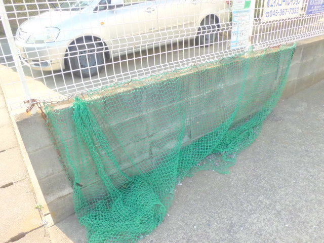 シティハイム　ウェルネスＣのその他共用部分|敷地内ゴミ置場