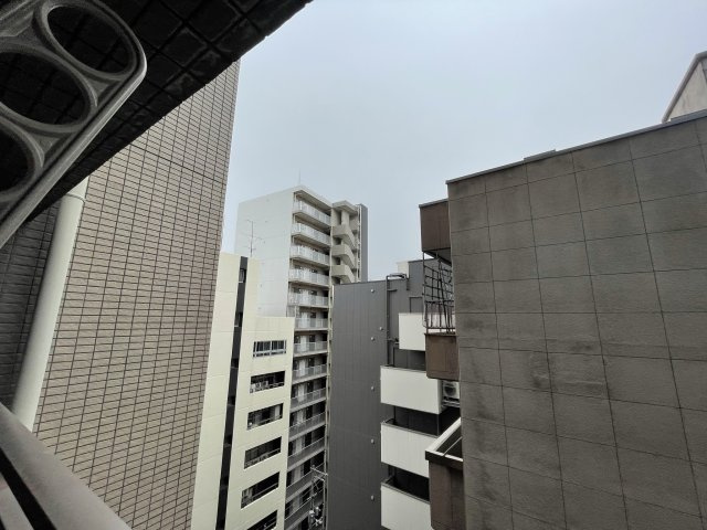 フェニックス日本橋高津の洋室