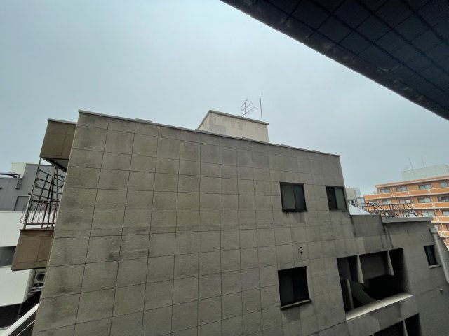 フェニックス日本橋高津の展望