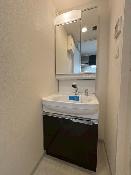 エステムコート名古屋グロースの洗面所