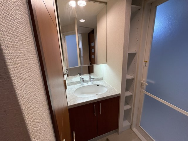 マスターズレジデンスドウトンボリの洗面所