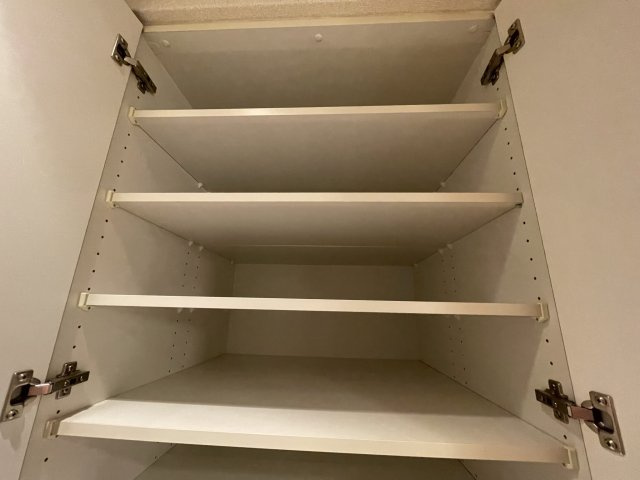 マスターズレジデンス道頓堀Ⅱの収納|(参考)同マンション同間取り他部屋の写真