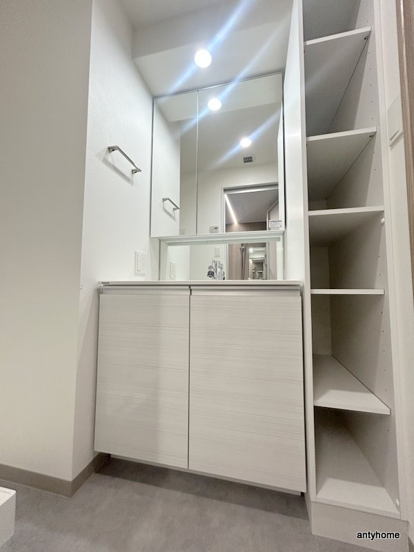 Alivis野田阪神　仲介手数料無料の洗面所