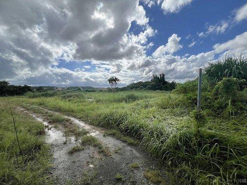 名護市伊佐川の外観|名護市伊佐川｜売地｜事業用地｜アパート用地｜アイランドリゾート沖縄