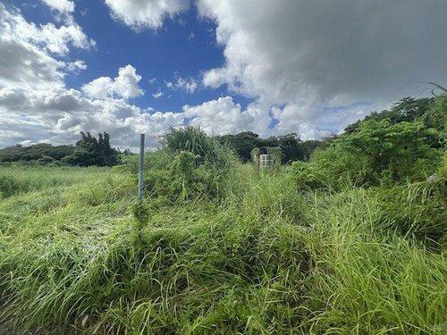 名護市伊佐川の外観|名護市伊佐川｜売地｜事業用地｜アパート用地｜アイランドリゾート沖縄