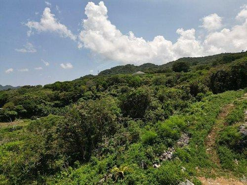 本部町健堅の土地のその他|本部町健堅｜海が見える土地｜アイランドリゾート沖縄