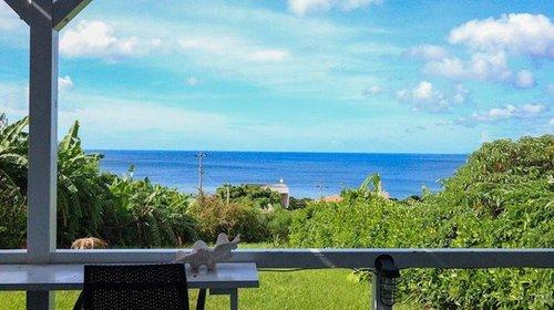 石垣市川平オーシャンビューの平屋建ての庭|石垣市川平｜海が見える戸建て｜アイランドリゾート沖縄