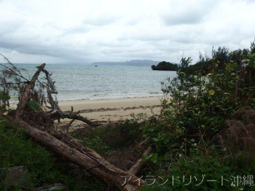 名護市屋我　オーシャンフロント　売地のその他