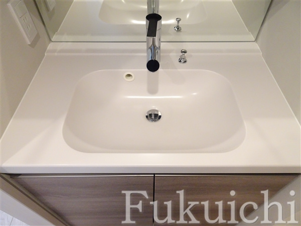 イプセ碑文谷の独立洗面台