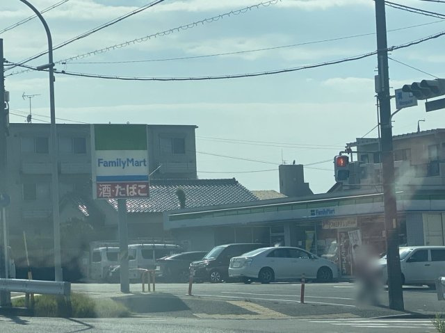 レオネクストいなほの周辺