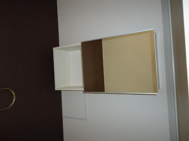 ネオ・プレミアム　Ｂ棟のトイレ|トイレ収納