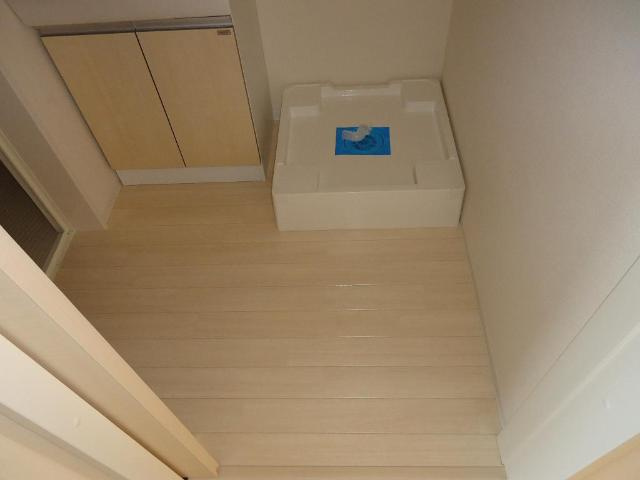 ネオ・プレミアム　Ｂ棟のその他|脱衣所