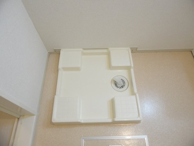 フェリスのその他