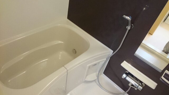 フリーデンの浴室