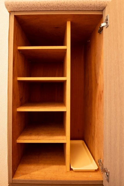 ライオンズマンション方南町第２の収納|靴入