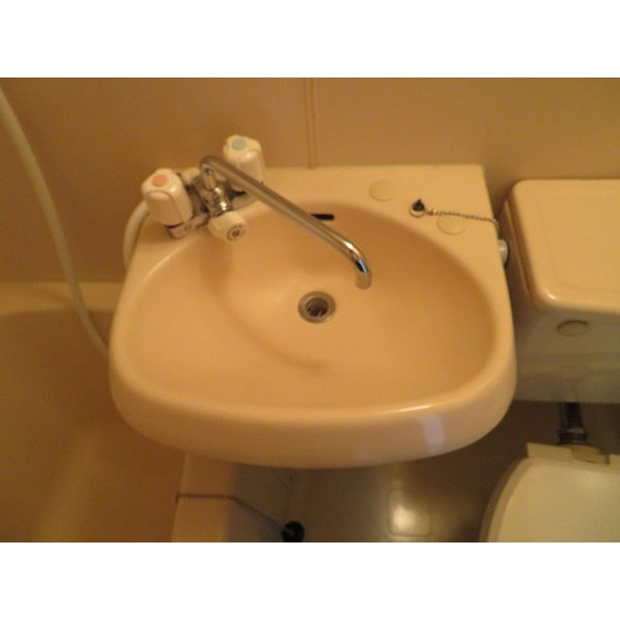 エバーグレース西府の洗面所|洗面台