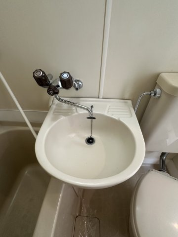 プララT＆Hの洗面所|広い洗面スペース