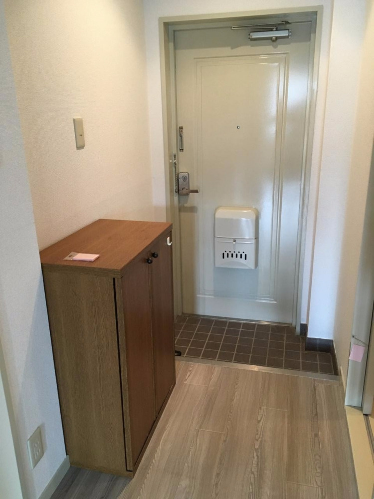 ペールグリーンエムズビルⅡの玄関