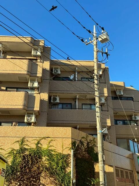 マンションテルミ