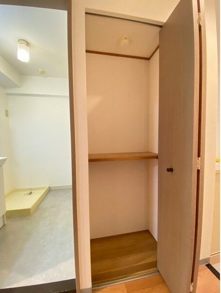 久光マンションの収納