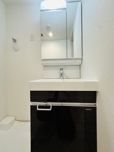 ディアレイシャス大須観音IIIの洗面所