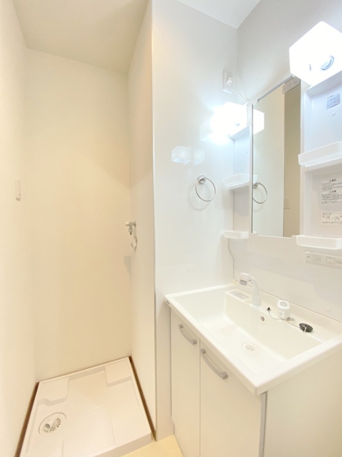 アムールHARMONYⅡの洗面所