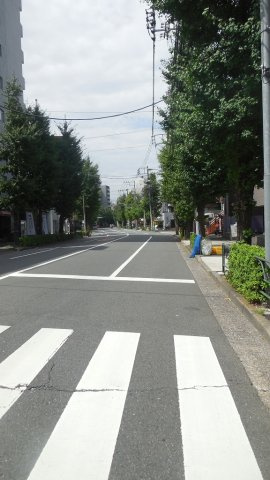 アルテシモヴァレントの周辺