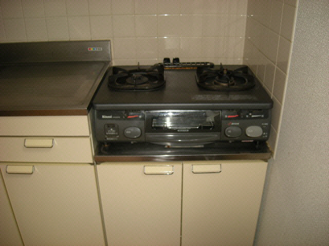 プレイスピア緑ヶ岡Ⅱのキッチン