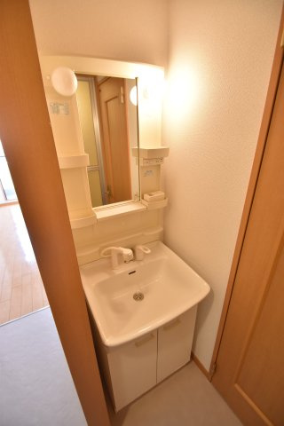 大阪市城東区成育２丁目の賃貸マンションの洗面所