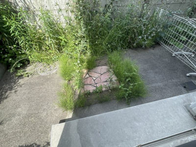 【庭】 | 武蔵野テラス