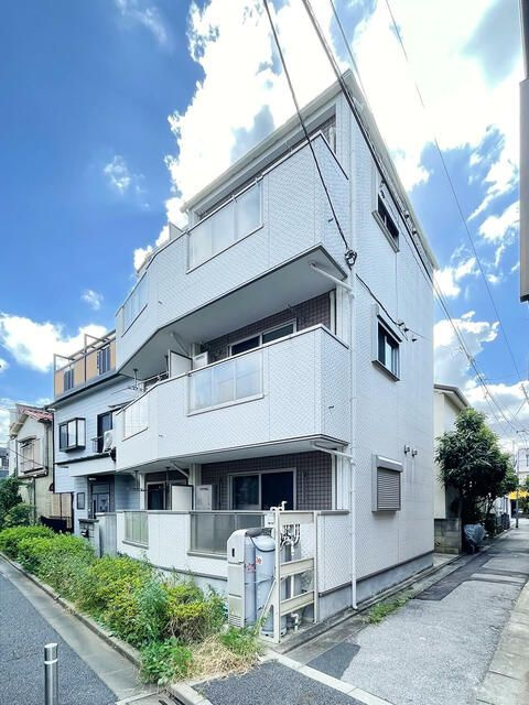 オータムバレーシンコイワ