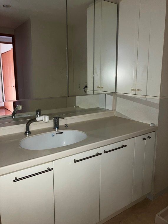 ベイサイドステージ東京の洗面所