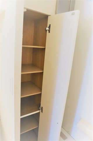 レオパレスタウンコートの玄関