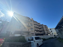 パレストーマスの画像