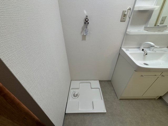 クレスト安室の洗面所