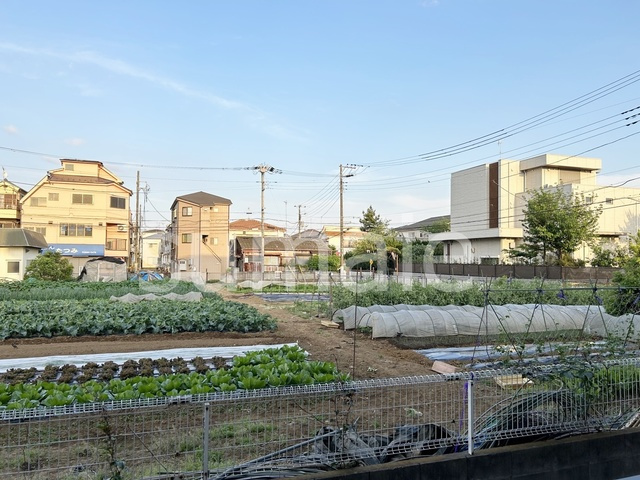 エスポワール21の展望|景色です