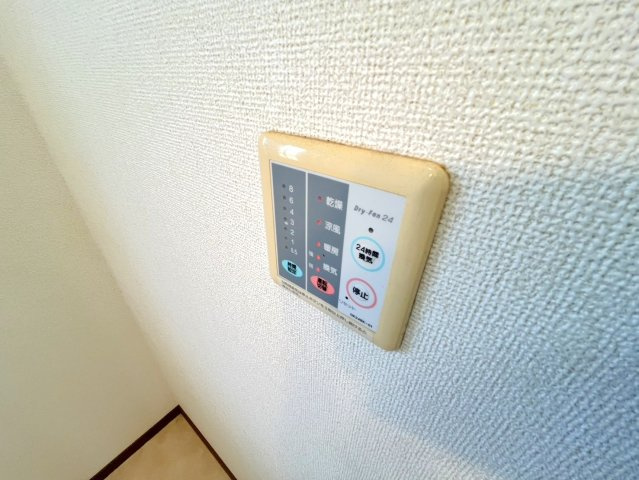 プリムローズBのその他